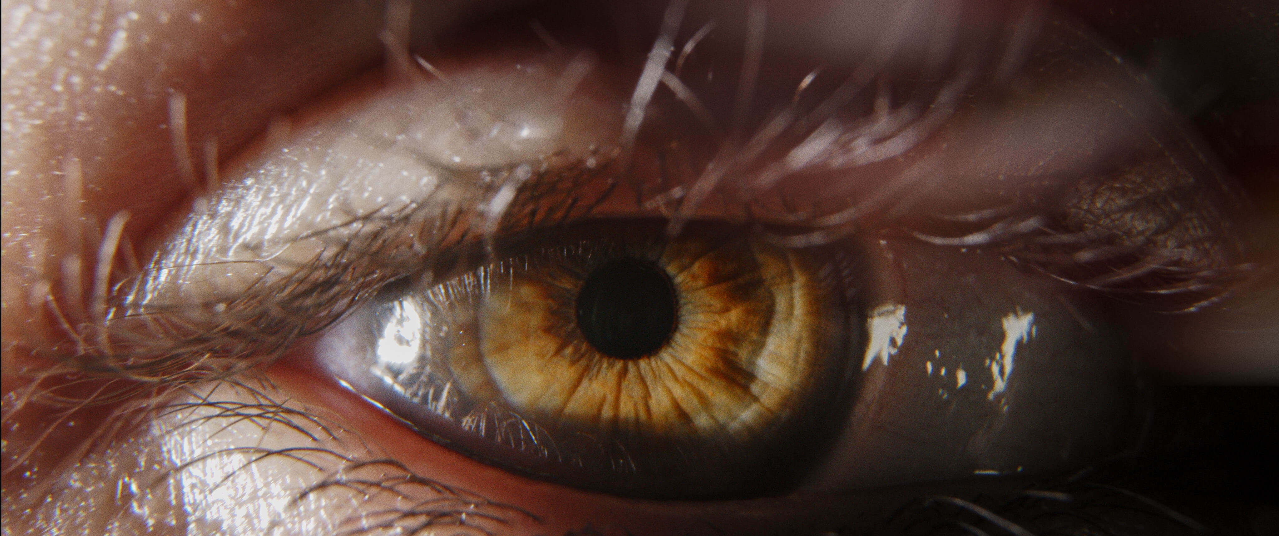 Behind the scenes — Martin Marko, commercial director